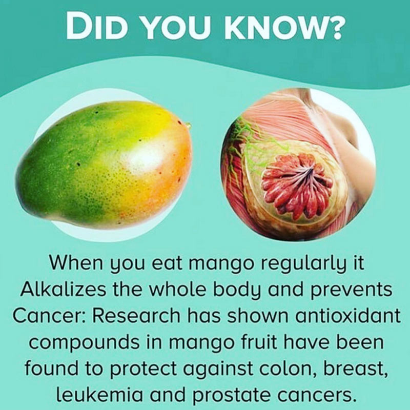 OrganicLiveFood's tweet photo. Similar to papayas, mangos contain certain enzymes that can be beneficial to our health. Mango is rich in fiber, so if you have at least one mango every day, you may alleviate constipation, piles, and symptoms of irritable bowel syndrome (IBS)  

https://t.co/ZH8wmFKnTr