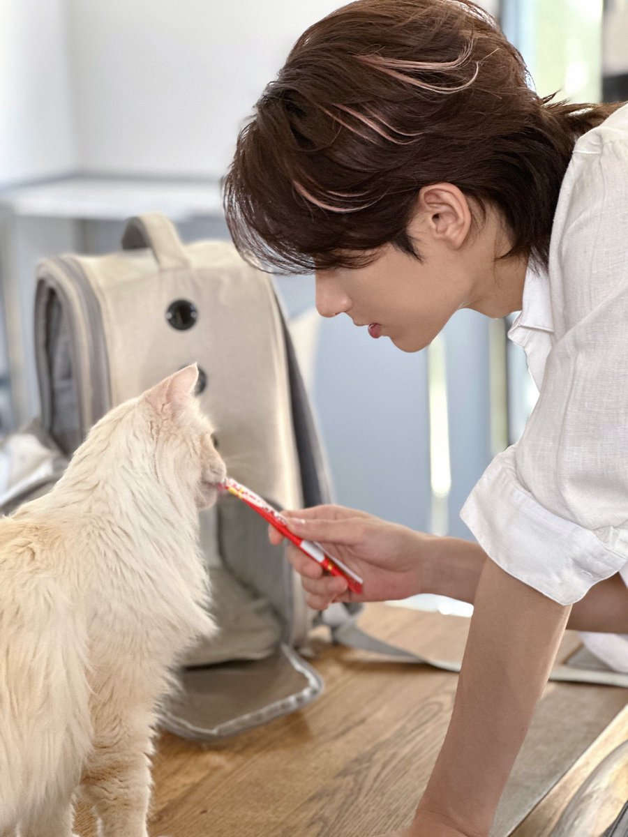 JUN WITH A CAT PHOTOSHOOT?!?!? OH MY GOD THIS IS SO CUTE I SEE TWO CATS 🥹😭