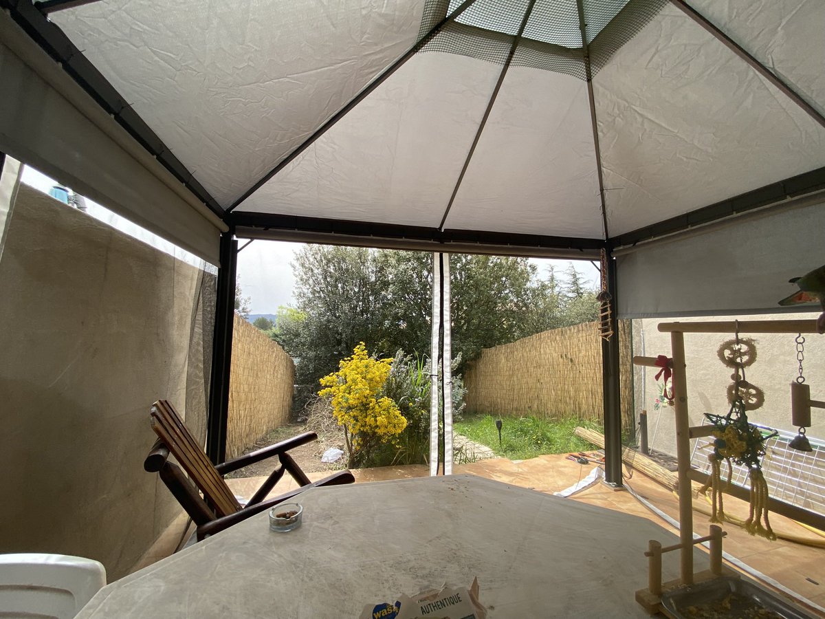 seraphiyym's tweet photo. @SleepyKyju i actually did this for my parrot, with a mosquito net, coast me 300€ for the pergola and 50€ the mosquito net, pretty cheap alternative https://t.co/oKFiKq4UBH