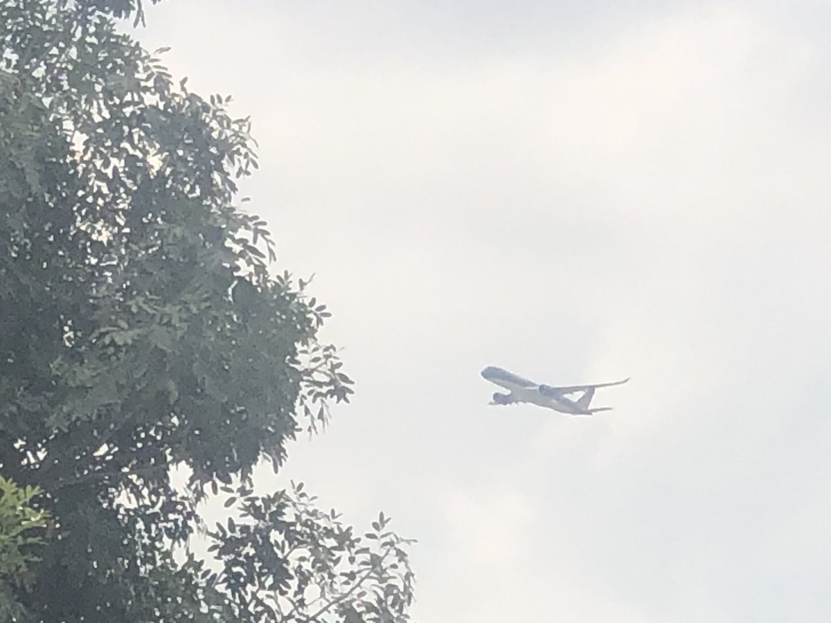 N0zzel1's tweet photo. Vietnam Airlines A350 / HVN211
HVN - SGN https://t.co/cCERtD4rr4