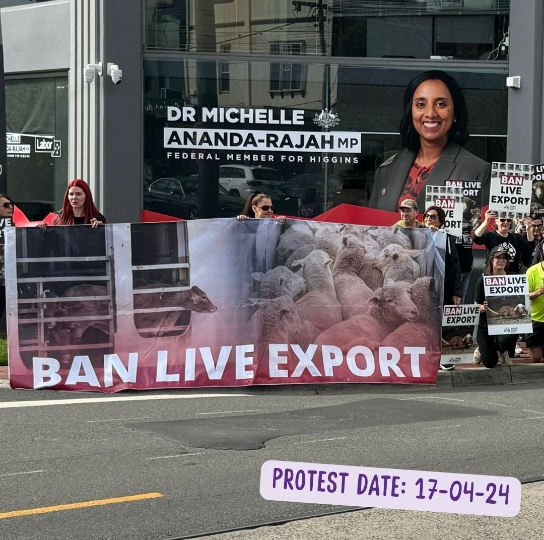 ANOTHER great turnout for a weekday protest. Thank you to the members from Glen Eira & Stonnington LGA's for organising this protest event in Malvern today ... Despite being in the office, Michelle @rajah_mich didn't come out to address us & was spotted headed out in her car...