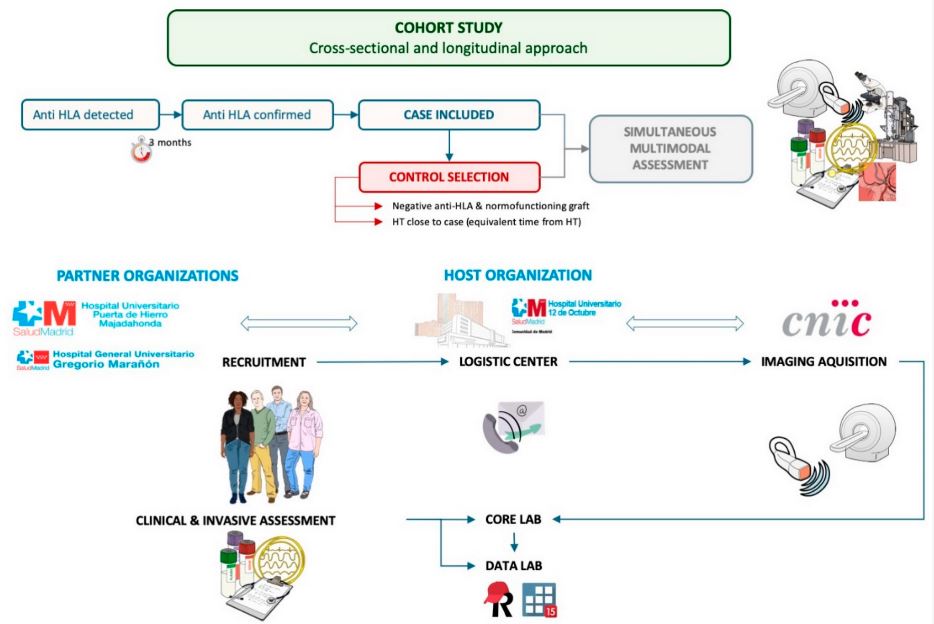 🍁Welcome to read the paper by Juan F. Delgado et al. | Rationale and #Protocol of the Multimodality Evaluation of #Antibody-Mediated Injury in Heart Transplantation (LEONE-HT) Observational Cross-Sectional Study 👉mdpi.com/2409-9279/5/5/… #hearttransplant #rejection #patients