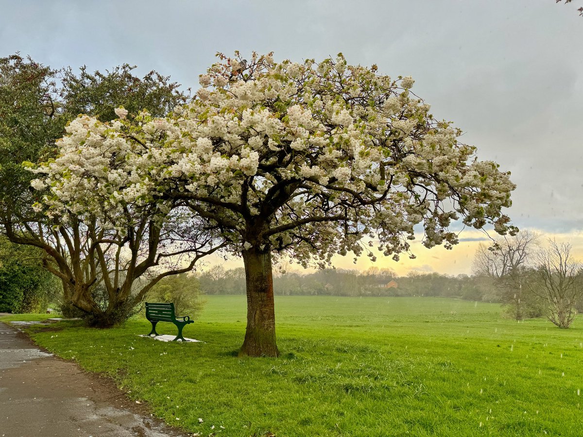 Damien Walmsley tweet media