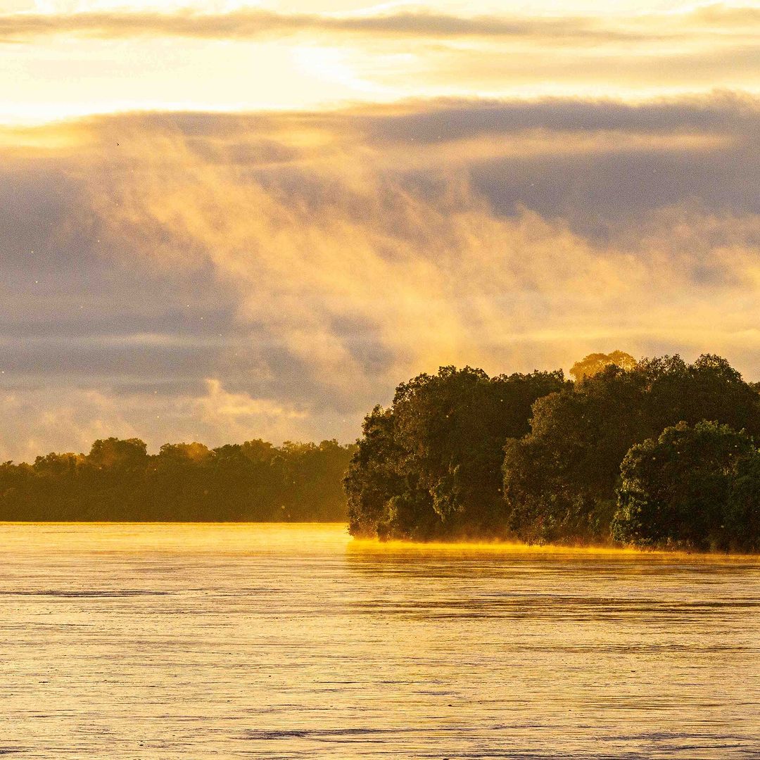 Beautiful View, Nyerere National Park 📍Kilombero River