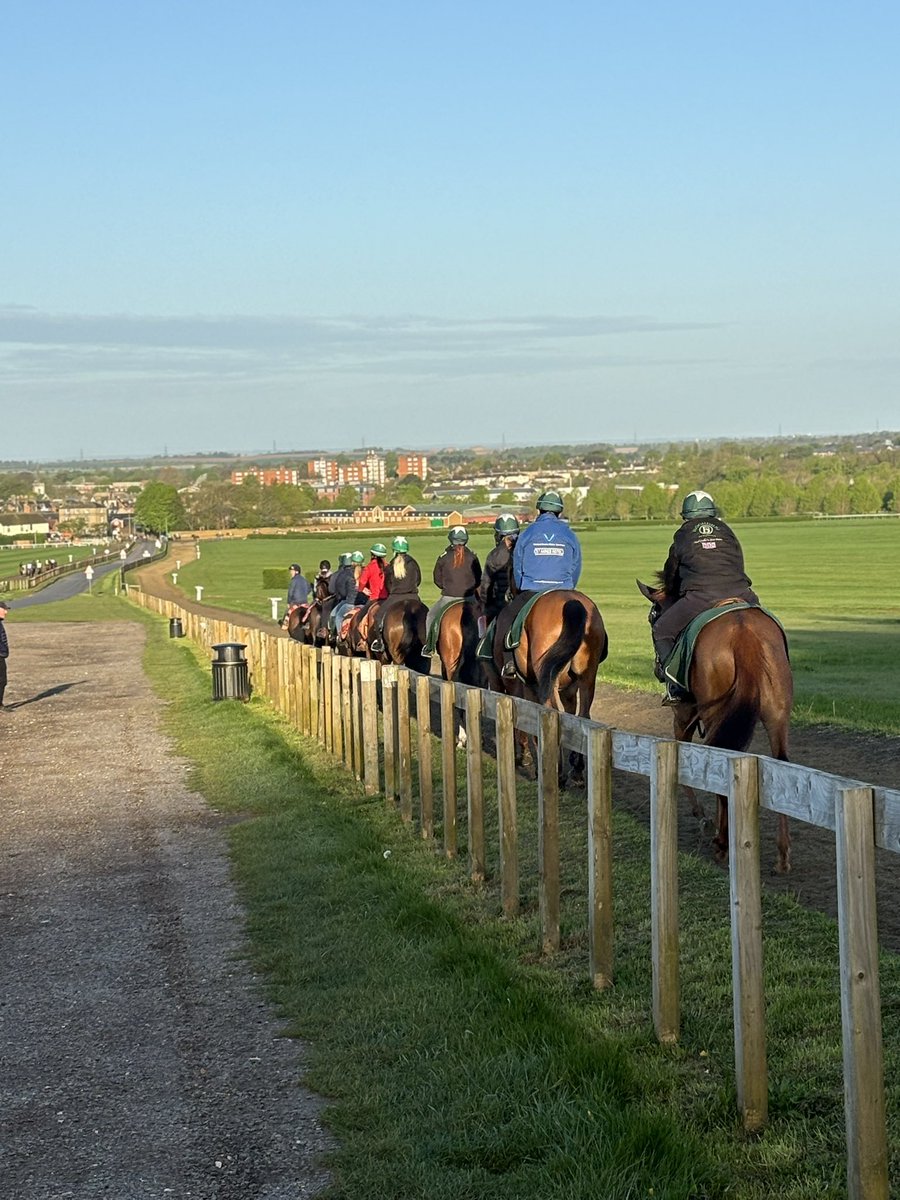 HQ @NewmarketGallop showing off with our string walking home after a canter up Warren Hill🏇💚💫