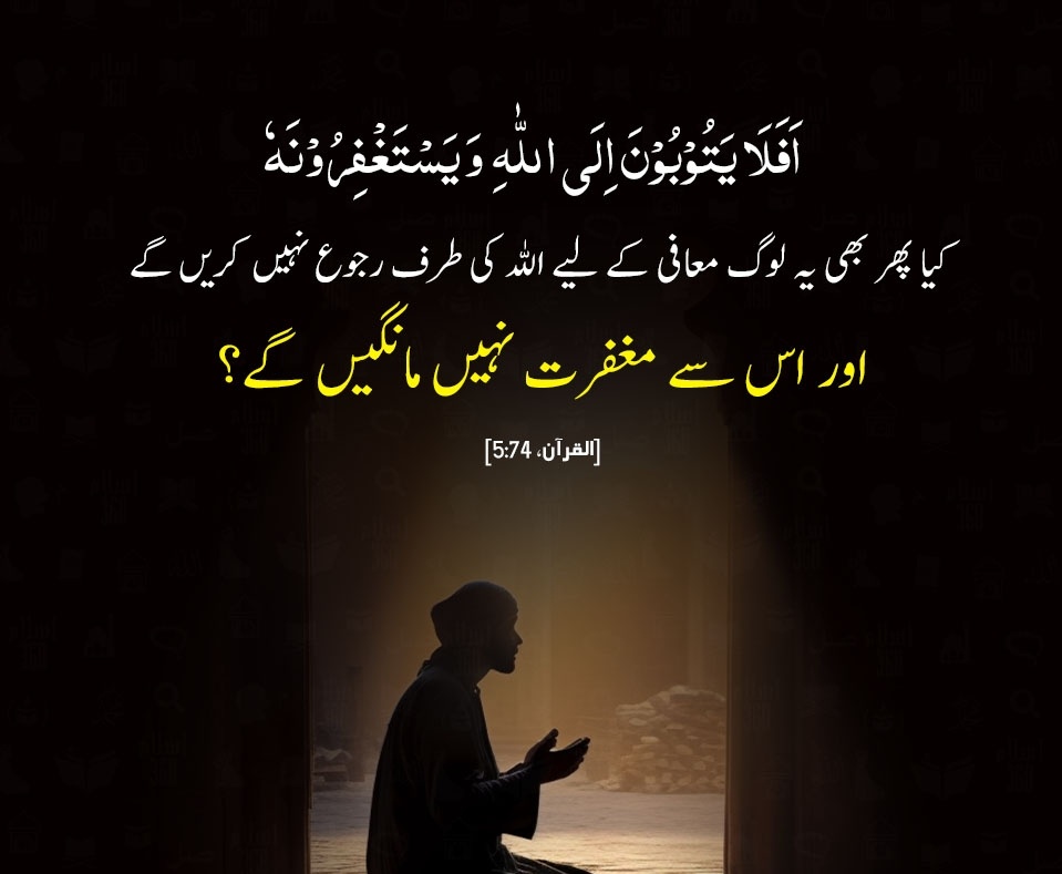 Malik Mueez tweet media