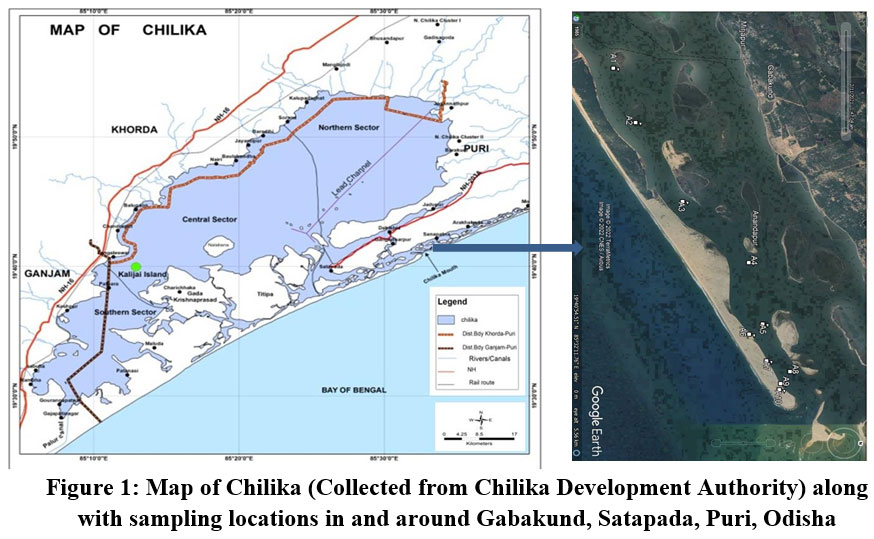 cwejournal.org/vol1no1/pdistr… - Read the Article here Distribution of Recent Benthic Foraminifera from the Outer Channel in and Around Gabakund Sea Mouth of Chilika Lagoon #Benthic #Brackish #Chilika #Foraminifera #Lagoon #Monsoon #environment #wastemanagement #environmentallaws