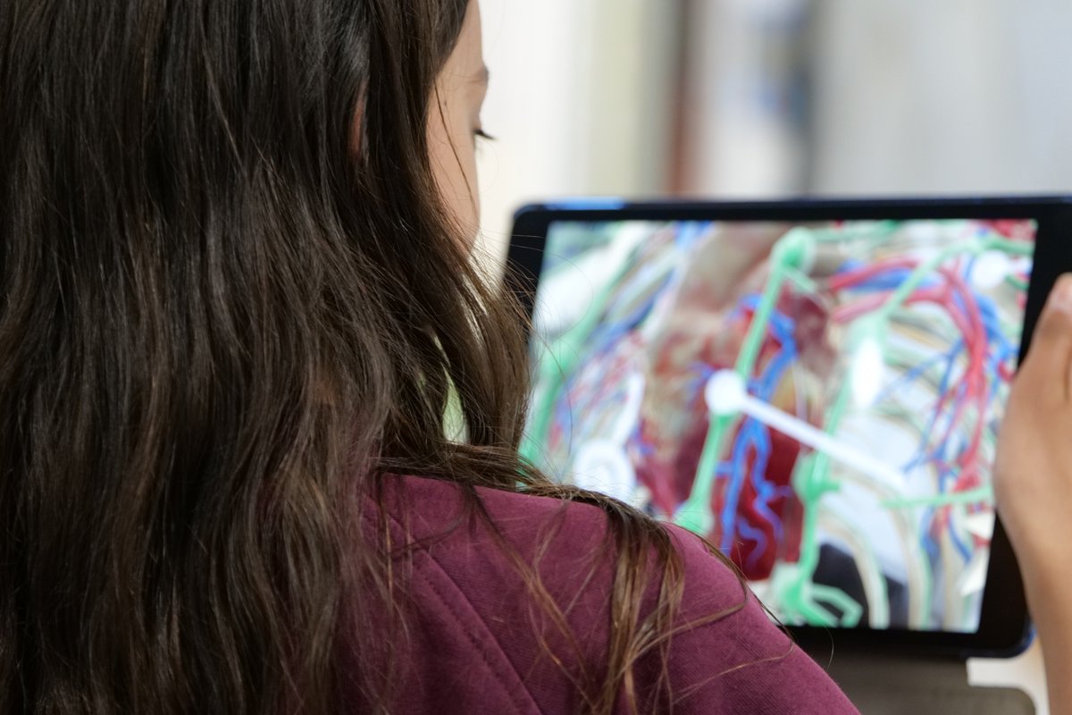 PDA_Y6's tweet image. We loved using AR to explore the heart today in Science! #PDADigitalStrategy #PDAScience