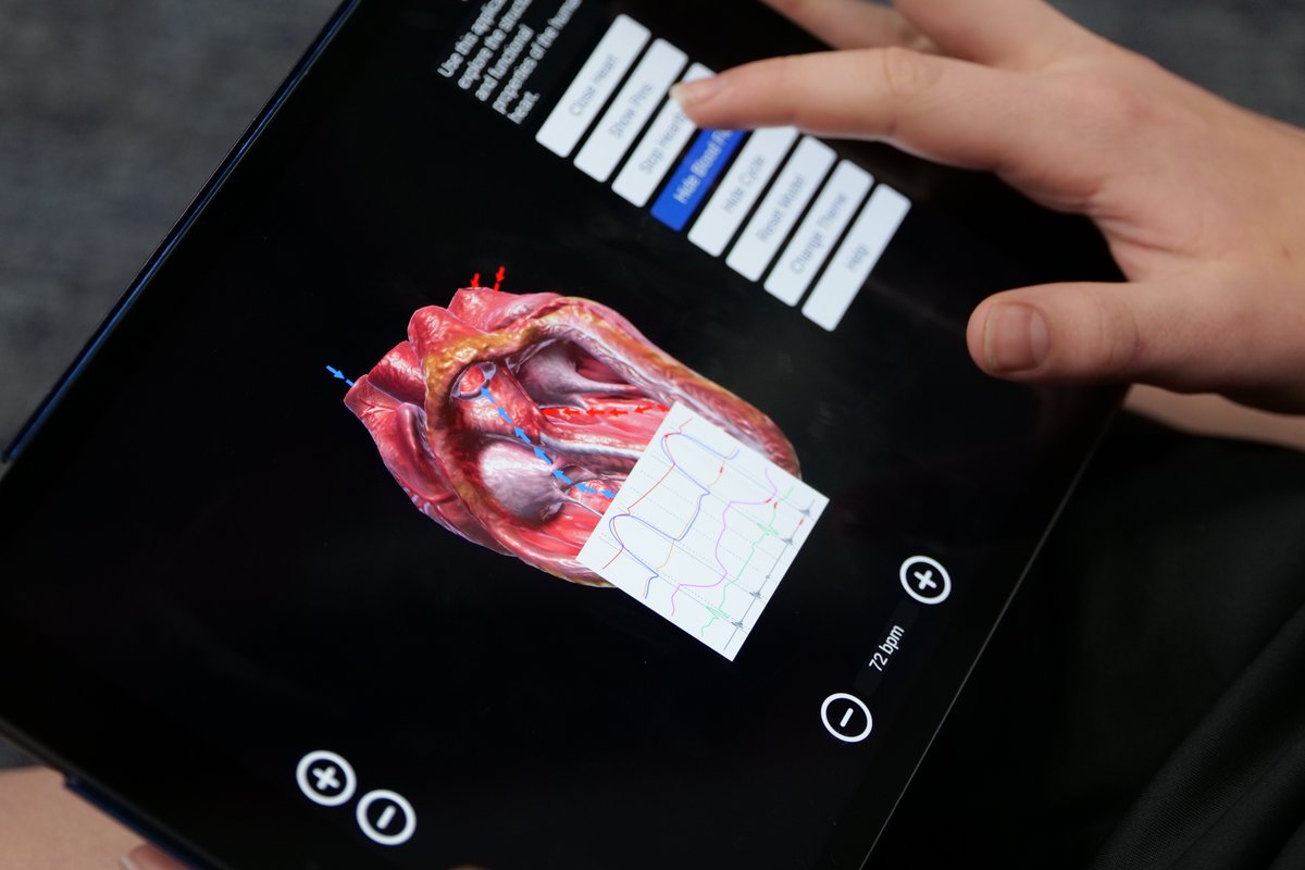 PDA_Y6's tweet image. We loved using AR to explore the heart today in Science! #PDADigitalStrategy #PDAScience