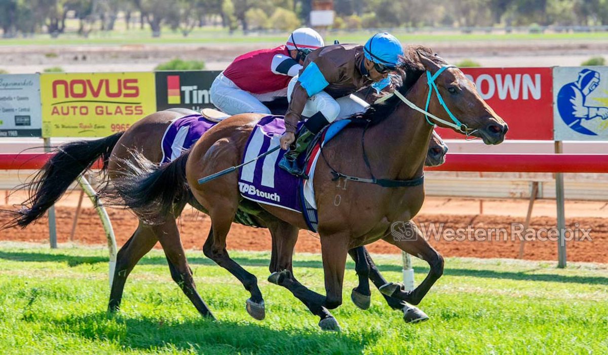 SONIC RULER - Geraldton Wed 17th April @GeraldtonTurfCl #WesternRacepix #WAracing

More 📸 westernracepix.com