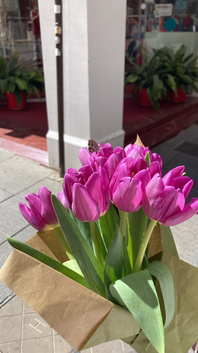 sofiiapozoo's tweet image. 