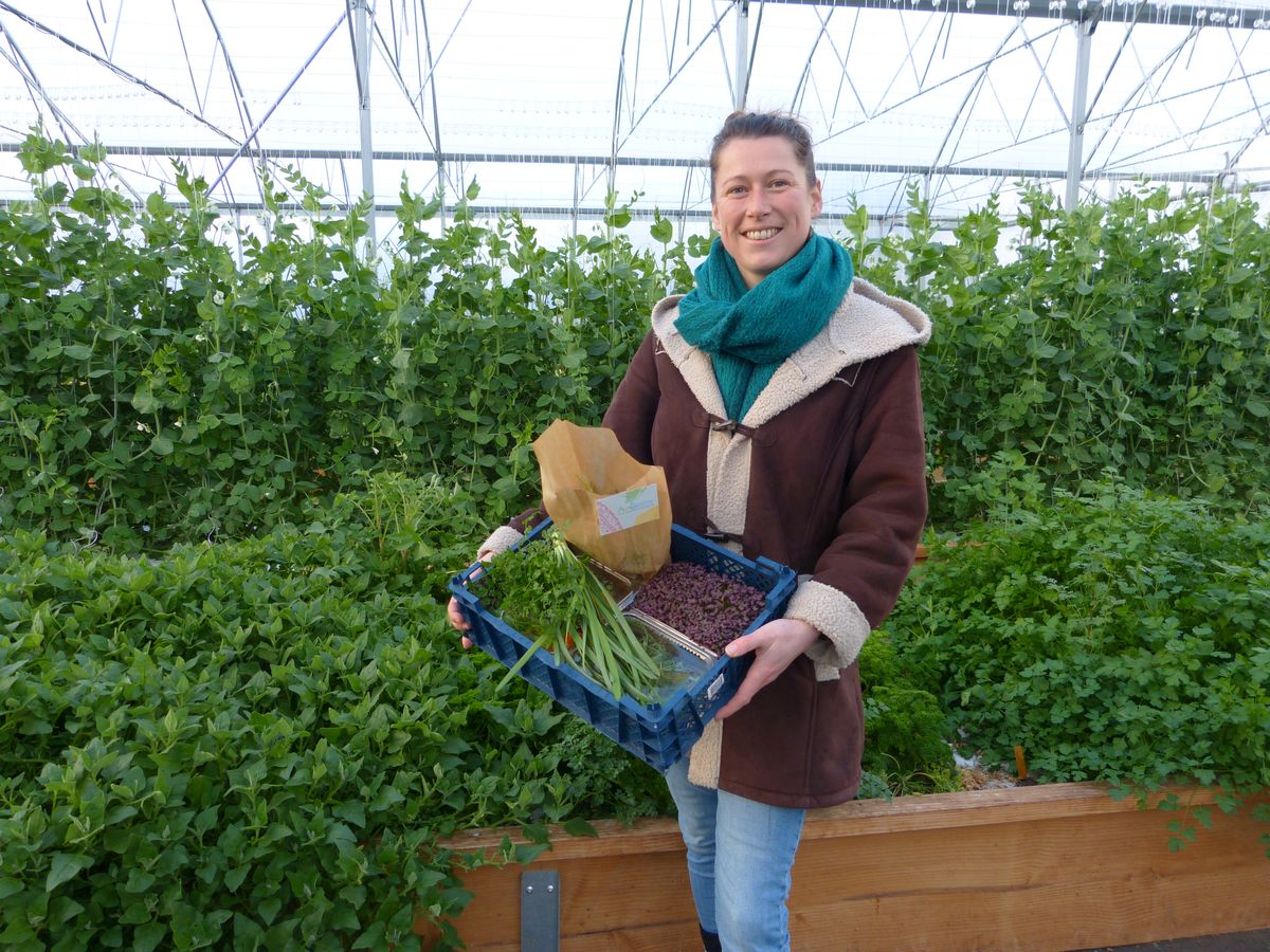 AgroSymbiose's tweet photo. 👩‍🍳𝑪𝒉𝒆𝒇𝒔, 𝒓𝒆𝒔𝒕𝒂𝒖𝒓𝒂𝒕𝒆𝒖𝒓𝒔, 𝒕𝒓𝒂𝒊𝒕𝒆𝒖𝒓𝒔... Contactez-nous pour que l'on vous amène des 𝐞́𝐜𝐡𝐚𝐧𝐭𝐢𝐥𝐥𝐨𝐧𝐬 𝐝𝐞 𝐧𝐨𝐬 𝐩𝐫𝐨𝐝𝐮𝐢𝐭𝐬 ! Nous nous ferons un plaisir de vous faire déguster nos pousses, légumes &amp; mini-légumes, aromates &amp; fleurs ! 🌱🌼 https://t.co/FD8l1QfFIw