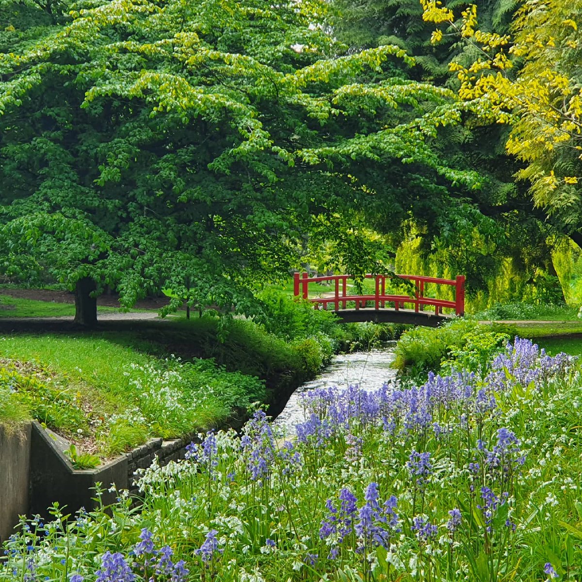 Bournemouth gardens are prime green open space... ❤️👌🏼 Did you know that Bournemouth boasts over 2000 acres of parks and gardens? ⁠- from the wilder upper gardens to the more manicured central and lower gardens! ⁠ bournemouth.co.uk/things-to-do/a… 📷: @helenjr