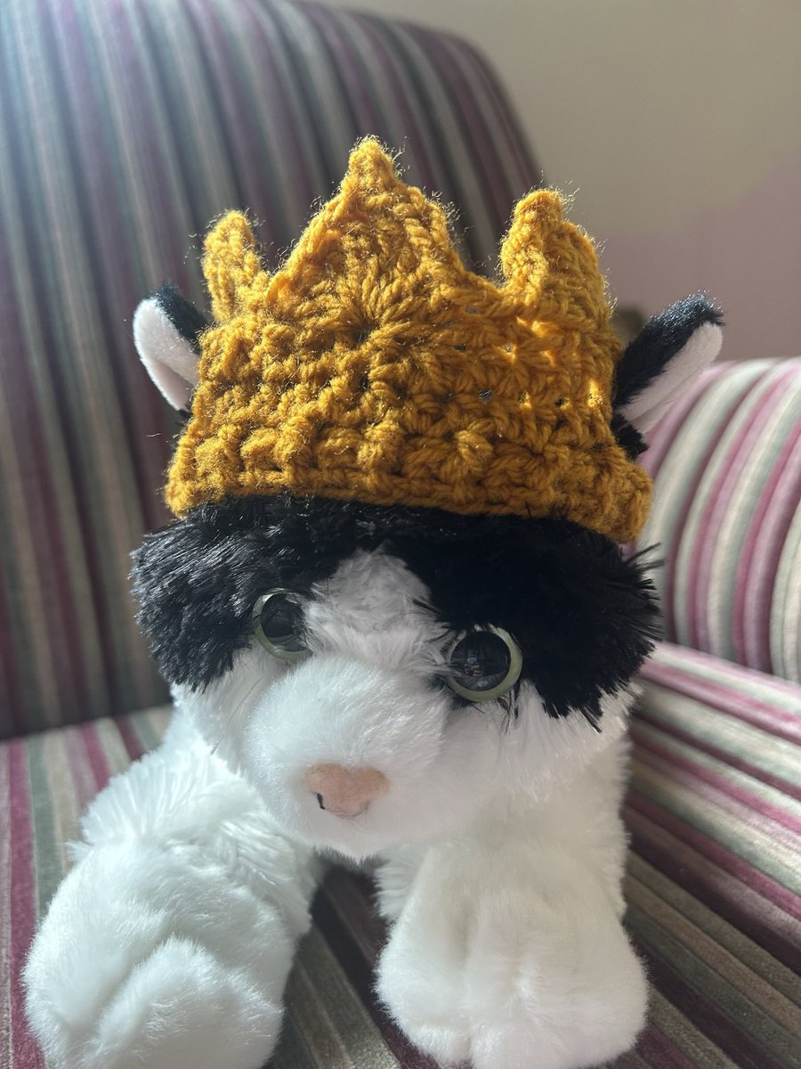 Because we all know who the real king and queen of the household is... 😉 Cat crowns are available in my #etsy shop 🐱👑 okthenwhatsnextcraft.etsy.com #crochet #etsy #earlybiz #elevenseshour