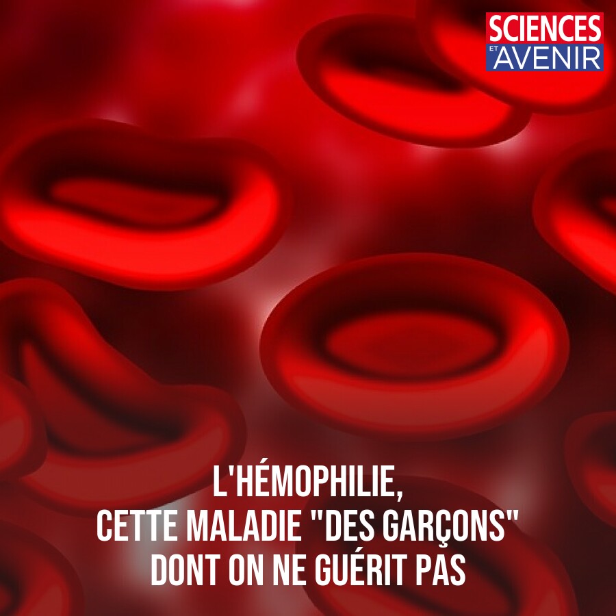 Sciences et Avenir tweet media