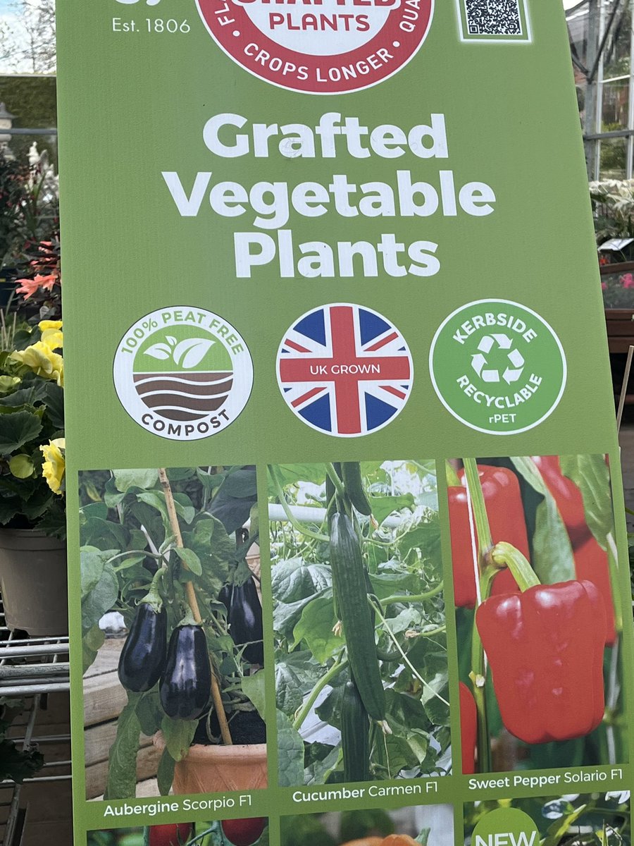 ashnurs's tweet photo. Grafted vegetable plants are in stock (whilst stocks last)! They are proving popular again this year. 

#growyourown #graftedveg @suttons_seeds #suttons #tomatoes #cucumbers #aubergines #peppers #peatfree #british https://t.co/latBzt8hib