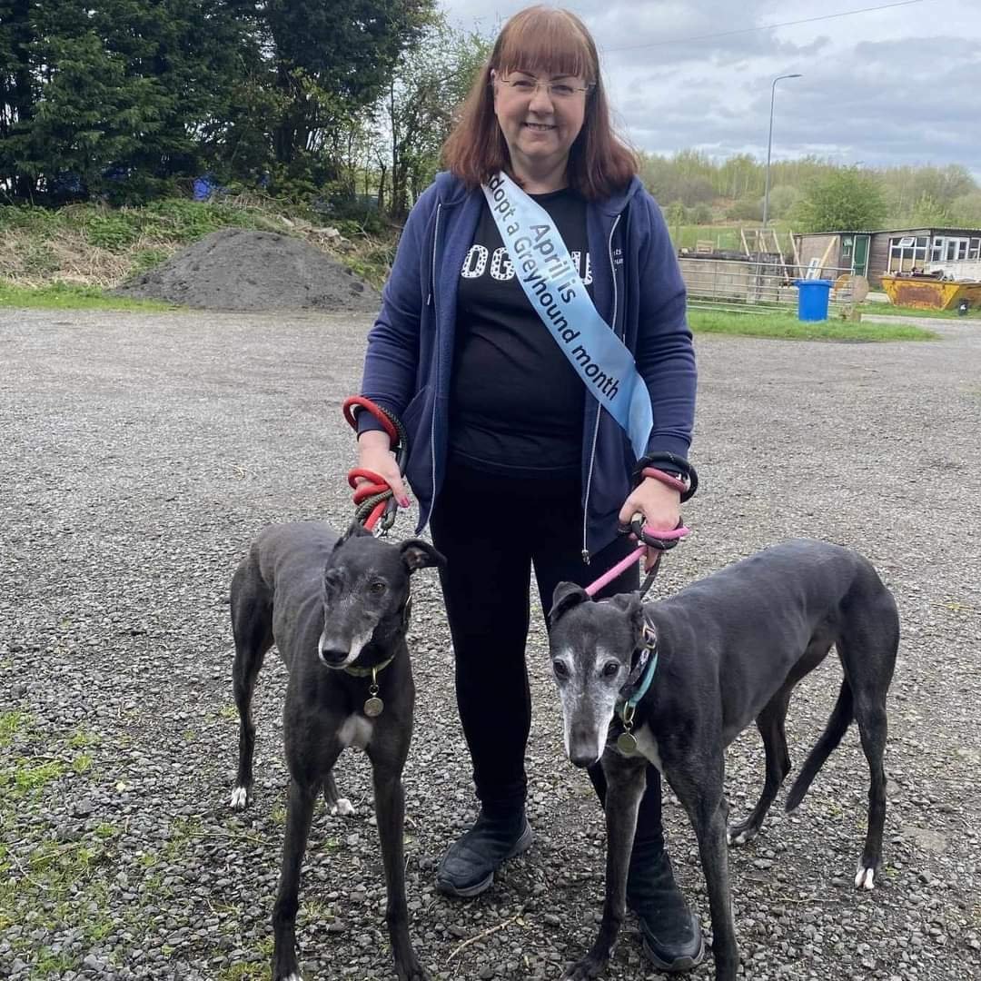 🌟HOMING NEWS🌟 STUMPY, now LUCA. This sweet lad arrived with us in January and soon won the heart of our volunteer Nicola. He's now living with her and Makants hound MINNIE in the Bramhall area. Many congratulations to them all!