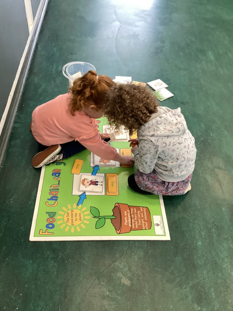 On Monday EYFS enjoyed a visit from the Royal Cornwall Roadshow, as a great start to their 'Food Glorious Food!' topic. They learned all about the animals which live on farms, the crops grown on farms, and the machinery on farms.