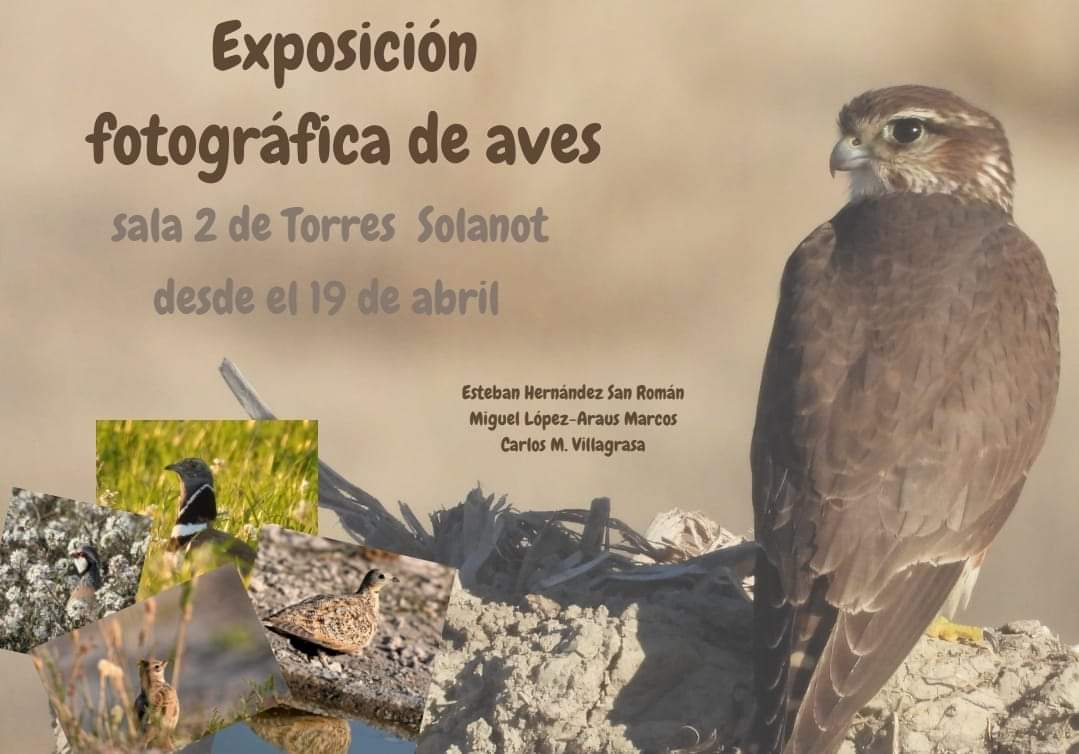 Este viernes en #Bujaraloz , una nueva exposición fotográfica. En esta ocasión de Aves y naturaleza, que vendrá precedida de una charla sobre fototrampeo. Cultura, identidad y patrimonio. ¡ Os esperamos a partir de las 17.30 h en Torres Solanot ! Seguimos 💪