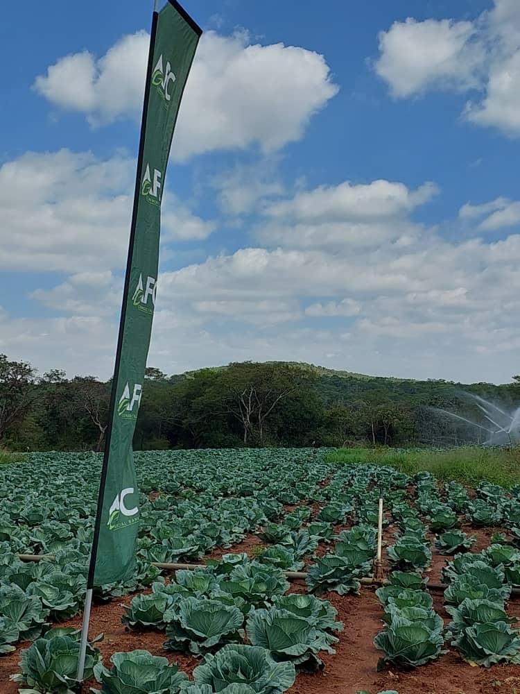 AfcHoldings's tweet photo. #AFCInsurance
#CurrentSettings

AFC Insurance participating at the ongoing Zimbabwe-Botswana Government and Insurance agriculture familiarisation program. https://t.co/VGcU5Zr5eP