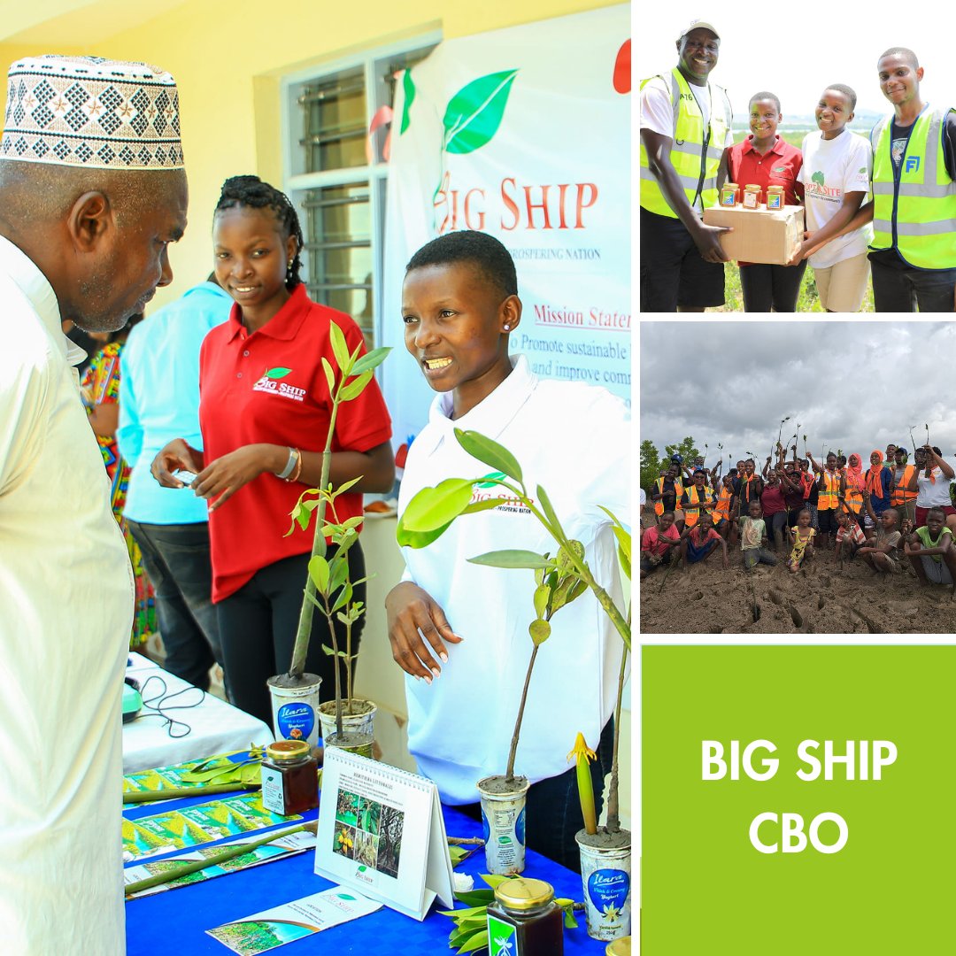 🌱They link environmental #conservation and #localcommunity development through various activities such as mikoko (mangrove) ecotours, advocacy ventures, mangrove #restoration drives, bee keeping and honey harvesting from mangroves, etc. 🔗bigship.org