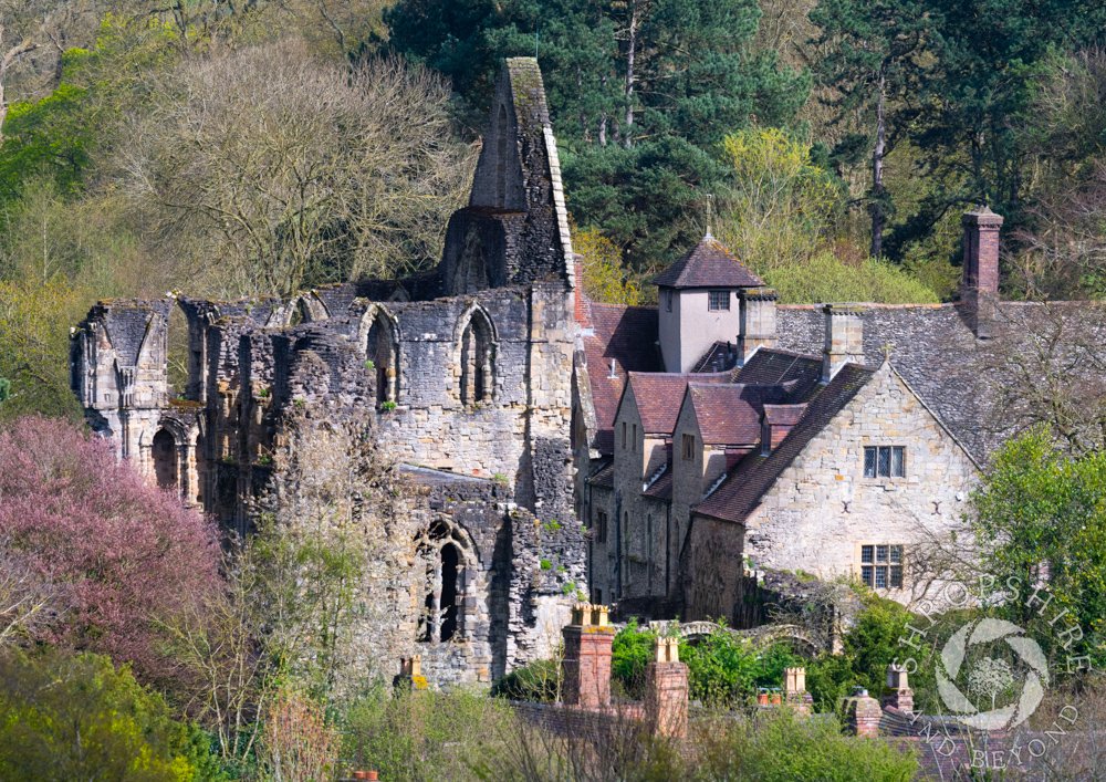 A step back in time - here are the medieval ruins of Wenlock Priory in Much Wenlock. This is a favourite viewpoint which I discovered some time ago. I have already got this shot in autumn and winter and now, having ticked spring, I need to repeat it in summer! #Shropshire