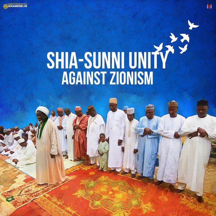 We Sunni Shia both Against Zionism ❤️ #MuslimBrotherhood
