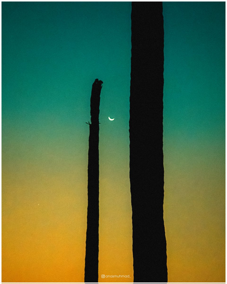 Captured on #galaxys22 
#GalaxyAI #SamsungGalaxy 
@samsungindia @samsungmobile
#NGTI #NatGeoTravellerIndia #ngtindia #chettuva #India  #streetphotography #kerala #ig_streetphotography #ig_street  
#goldenhour #goldenlight  #moon
#halfmoon #cinematic #lightroom