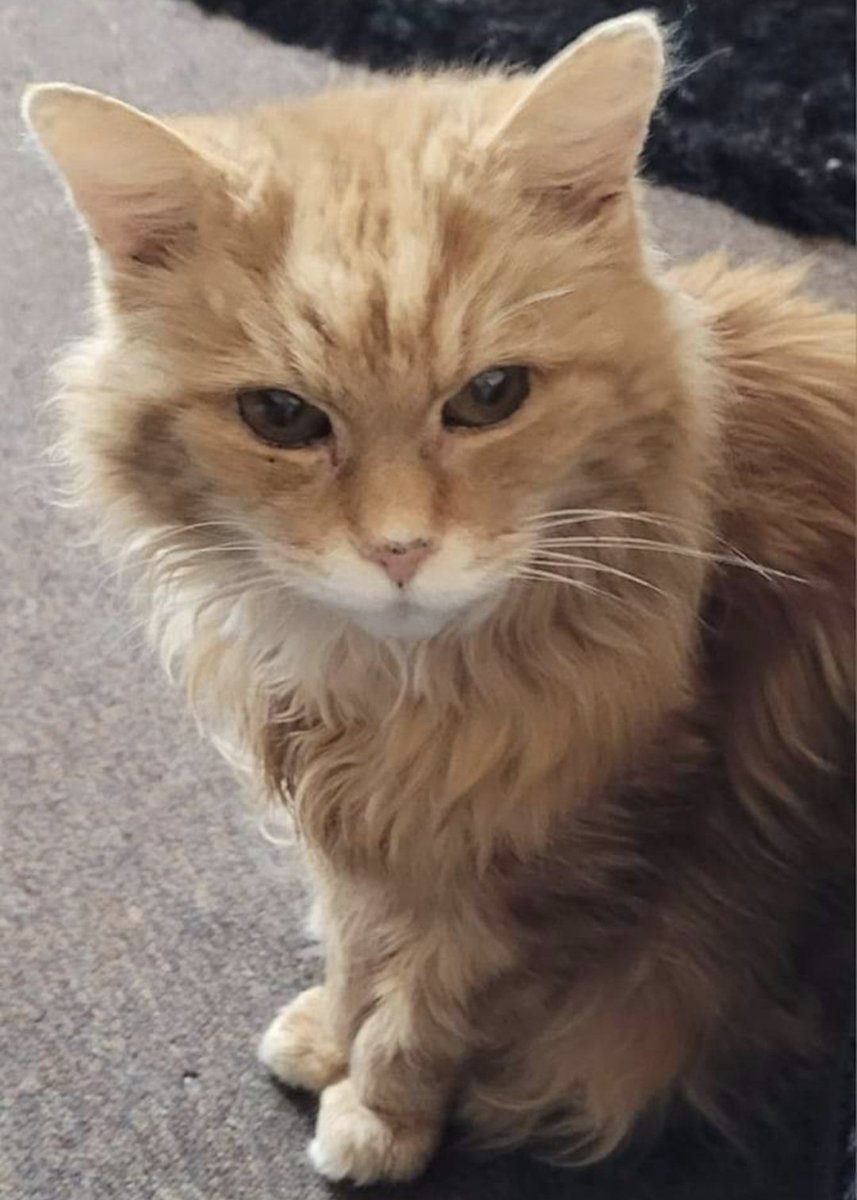 RED'S JEWELS tweet media