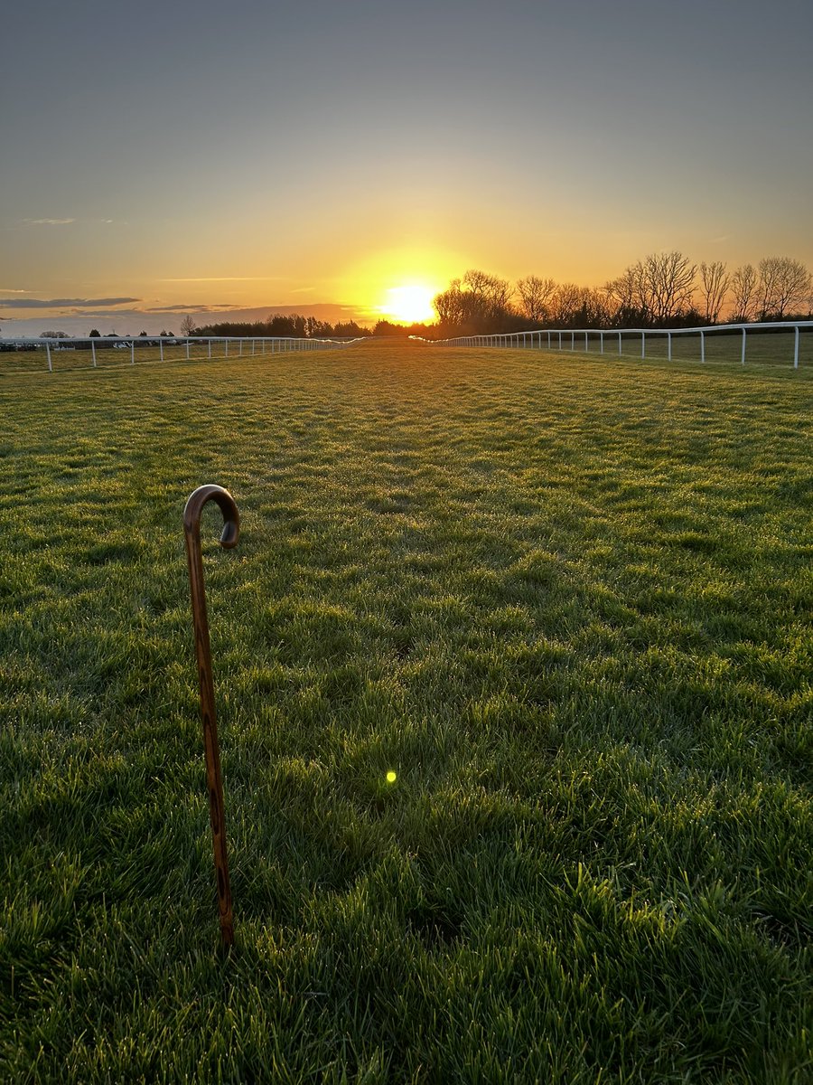 Good to Soft, Good in places. Declarations this morning for Friday 19th, which includes our feature @WhitsburyManor @BritishEBF Listed Lansdown fillies stakes. A pretty dry forecast leading up to and including race day. ☀️🌱 @BathRacecourse