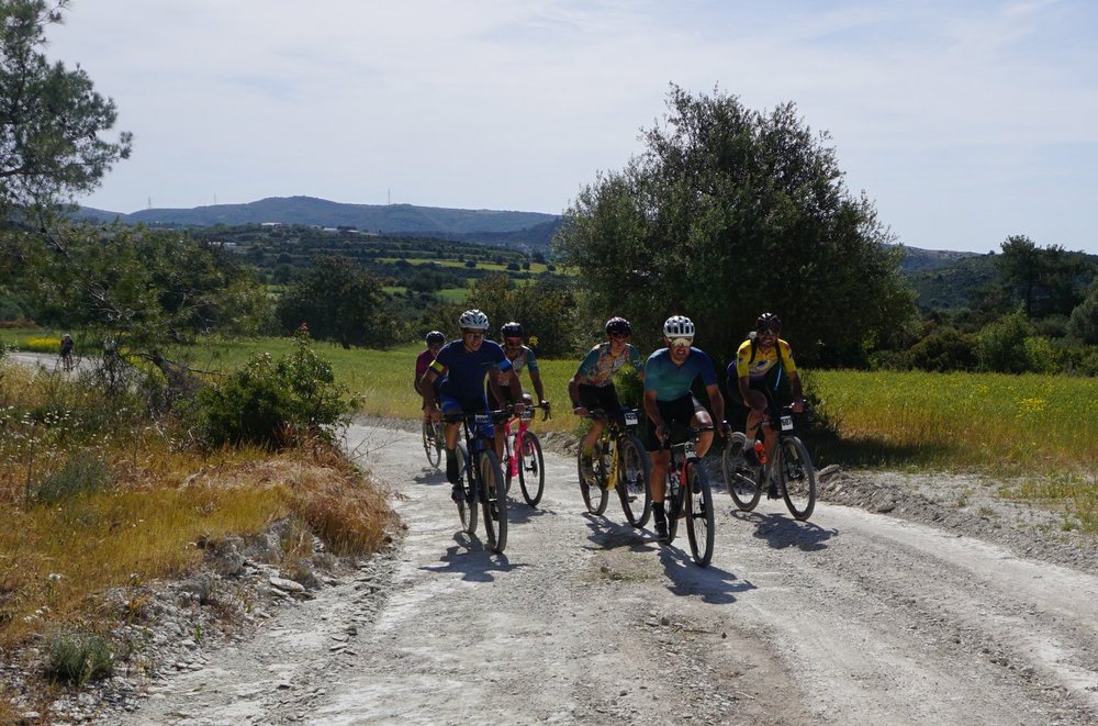 Activatecyprus.com tweet media