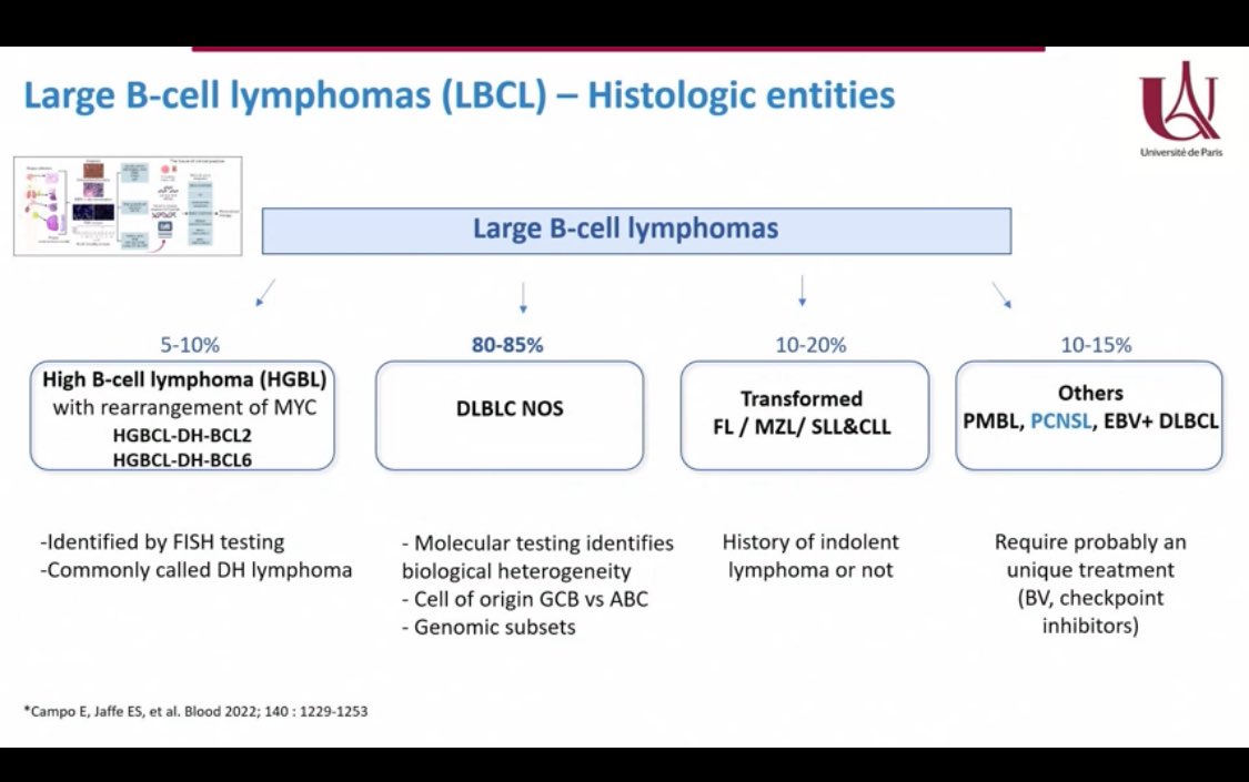 LBCL - histologic entities @c_thieblemont