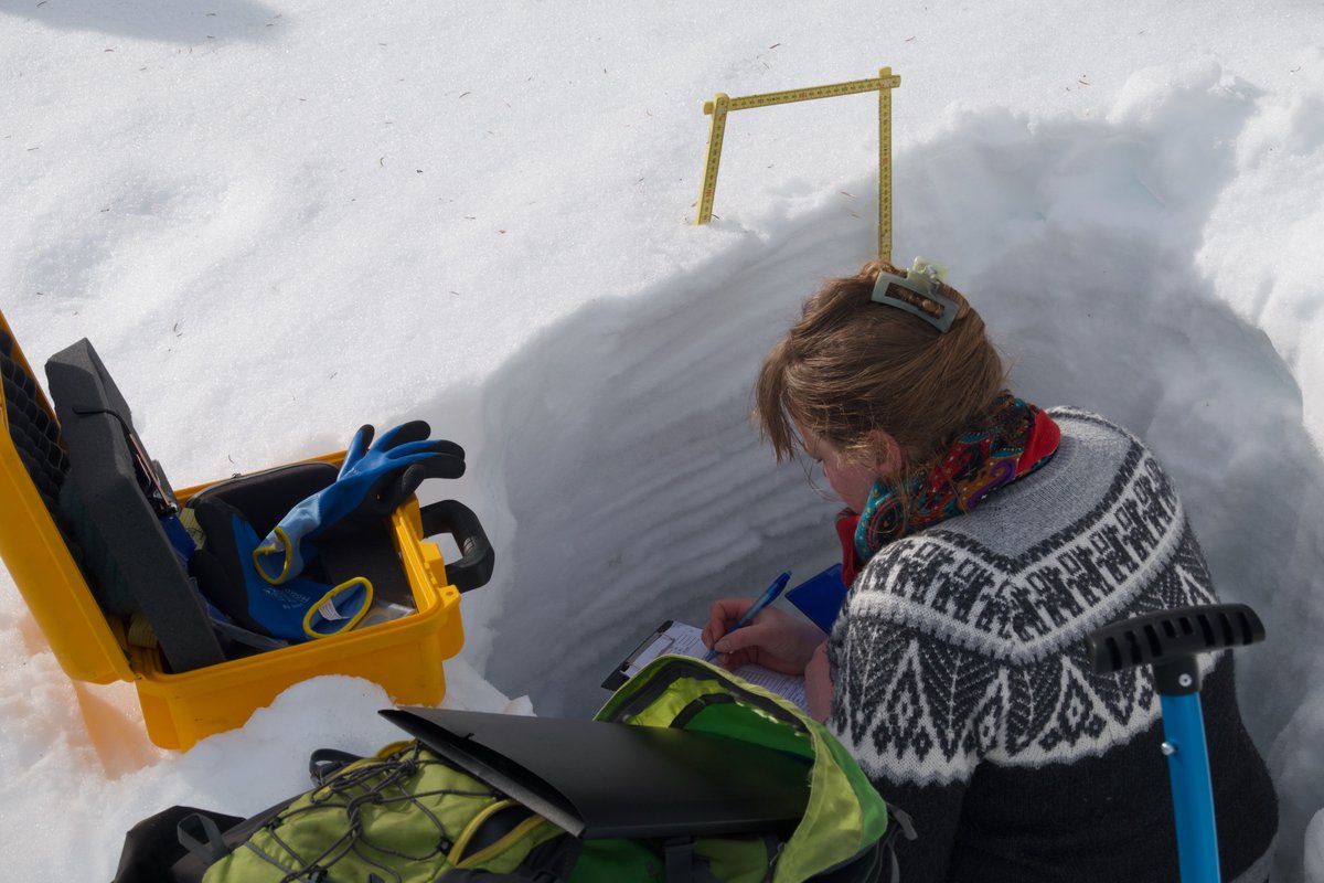 Much snow pit digging &amp; more in #Pallas #Finland last week with the #nordicsnownetwork. Heavy rains made #snow work tricky but that's #arctic fieldwork! Saharan dust was searched, snow melt investigated, SIMBA checking lake ice. Great team!
@FMI_Snow  
<a href="/SYKEinfo/">Suomen ympäristökeskus</a> 
#CHARTERArctic