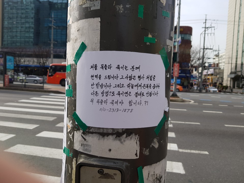 네이버 드라이브 정리하는데 별 이상한 사진이 다있네 이 사람은 어떻게 됐을까