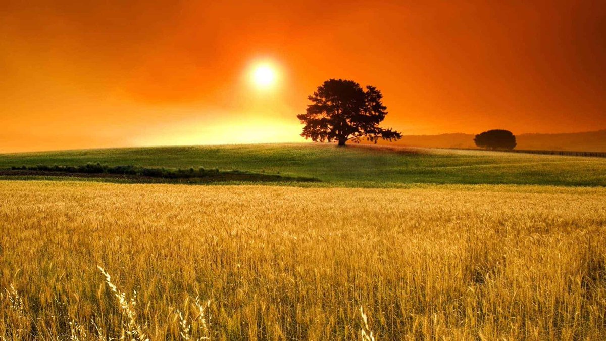 kuiandre's tweet image. Live each day as if it’s your last.