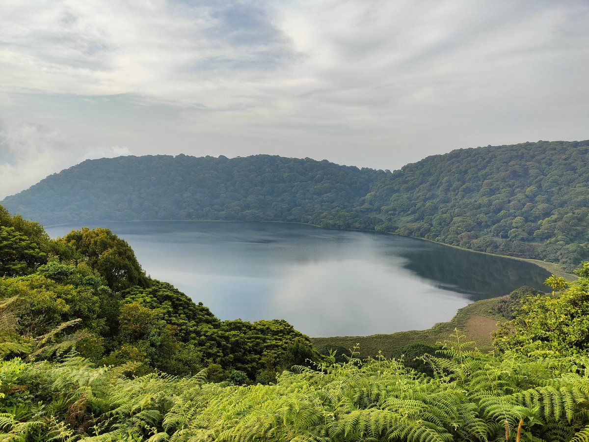 Bioko Island, part of Equatorial Guinea 🇬🇶, offers a diverse landscape with volcanic peaks, lush rainforests, and beautiful beaches.

It is home to unique wildlife, including endangered primates, creating a captivating destination for nature lovers.

#ThisIsAfrica #VisitAfrica