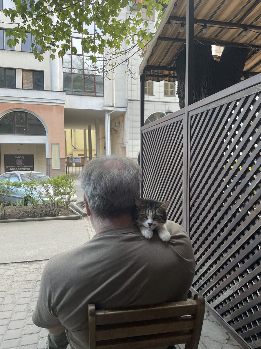 Kharkiv is a weird place where you can drink rose-flavored combucha sitting next to a man who walks his cat, discuss new film premiere on the steps of the Opera house, then wait for the metro for 20 minutes because of the blackout schedule.