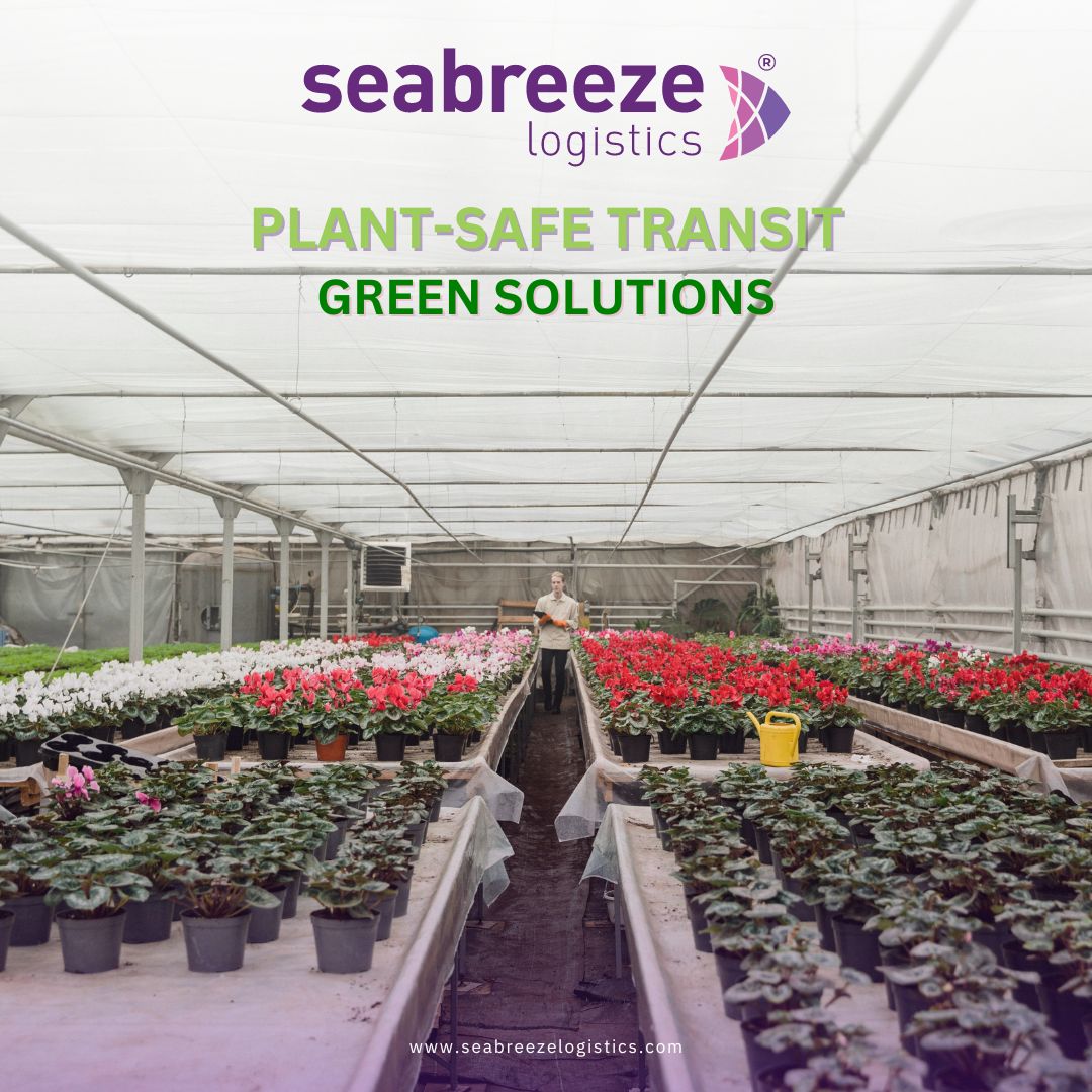 Experience Green Transport Solutions: Safely Moving Living Plants. Explore more at: lnkd.in/gp2vFZPq

#SeabreezeLogistics #GlobalSupplyPartner #PlantTransport  #GreenLogistics