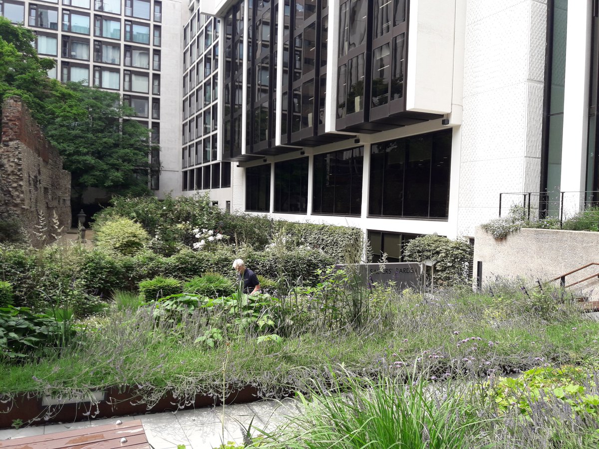 Come on my Secret Spaces in the City walk & be surprised to discover that the #CityofLondon isn't just stone, concrete, steel & glass - there are so many green spaces. Next walk this Friday 19 April 11am Tickets bit.ly/3Lkpq6K #guidedwalk #gardens @Guided_Walks