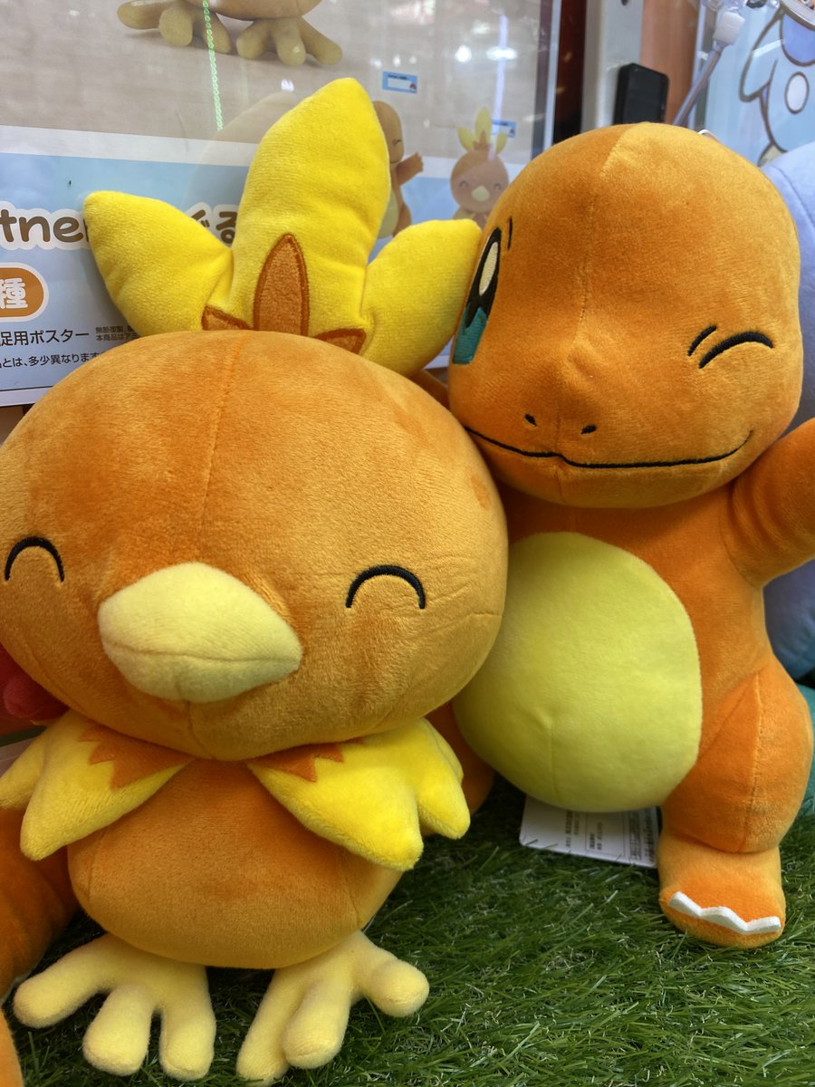 ヒトカゲ と #アチャモ が もふっとしたぬいぐるみになり プライズに