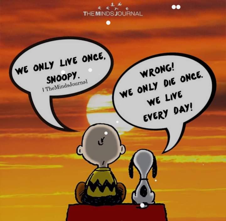 I like this, so thought I'd share. Busy day ahead, & whilst the days ahead of me are clearly far less than those behind, each are equally precious. Thanks Snoopy, my go to philosopher, humourist & motivator!