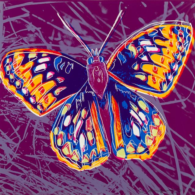 🎨San Francisco Silverspot FS II. 298, 1983 by Andy Warhol 🦋
#painting #AndyWarhol