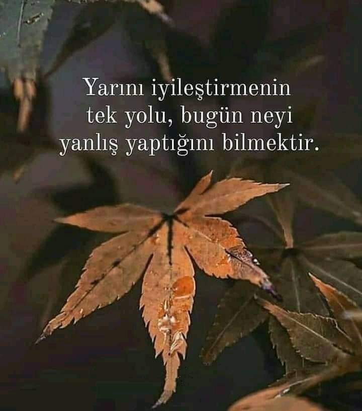 AYAZMUSTFA's tweet photo. Günaydın mutlu sabahlar https://t.co/6tP1PeWexp