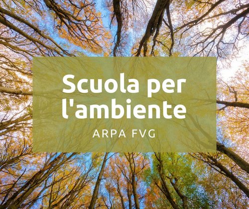 📢23 aprile: ripartono gli incontri della Scuola per l’Ambiente organizzata da @ARPAFVG . Il programma 2024 prevede 12 seminari online gratuiti che indagheranno diverse sfaccettature di varie tematiche ambientali. Scopri come partecipare al link 👉snpambiente.it/riparte-la-scu…