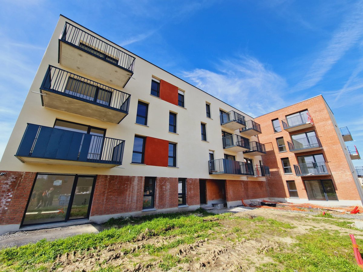 Bernard Haesebroeck tweet media