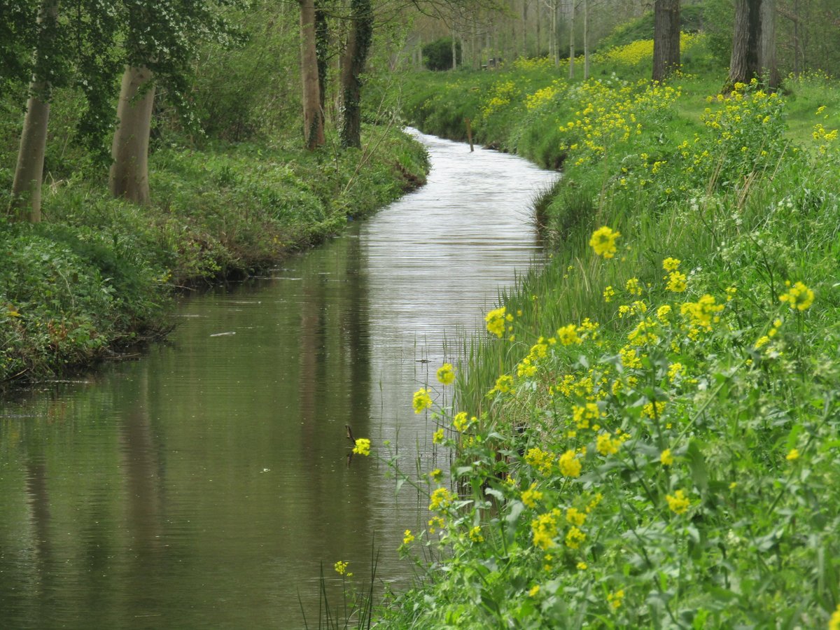 bloglezer's tweet photo. Elke boom schittert
in de zon na die regen
zacht dampt de aarde
Meer: https://t.co/q48sA1jH03 #rain #lenteregen #regen #springrain #spring_rain #green #SPRINGBREAK #spring2024 #NaturePhotography #NatureBeauty #naturelover #lente #lentekriebels #printemps #HSP #energy #Gorinchem https://t.co/uGfvTsqEDu