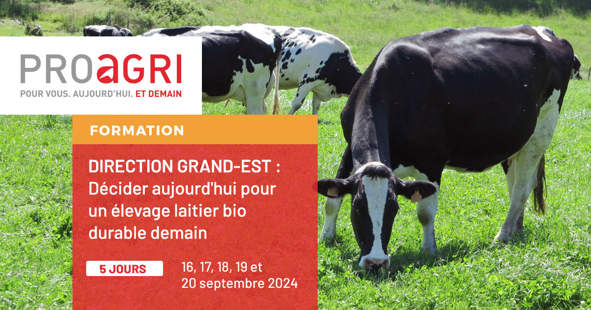 [ ✍ Formation ] 🚌 Direction Grand-Est Décider aujourd'hui pour un élevage laitier bio durable demain Des systèmes herbagers en zone continentale inspirant face au changement climatique. 📅 Lorraine, Luxembourg et Belgique - du 16 au 20 sept. 2024 👉 bit.ly/3Jkkjo3