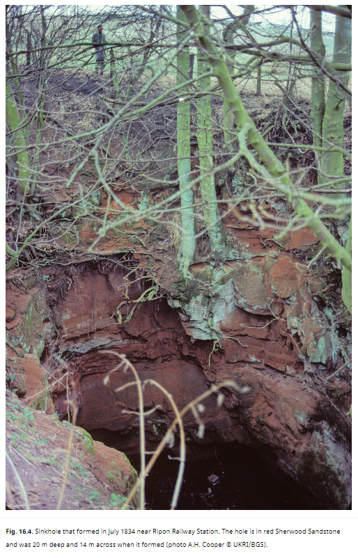 GeolSoc's tweet photo. Want to learn more about common causes of a collapse of the ground surface? Attend the upcoming Training Course on 17 May ‘Sinkholes Potholes and Washouts: Identification and Remediation’.
https://t.co/LJpKiq8O3v 

#GSLTraining #Geology #GroundCollapse #Geoscience #EarthScience https://t.co/jxbbnXFMTf