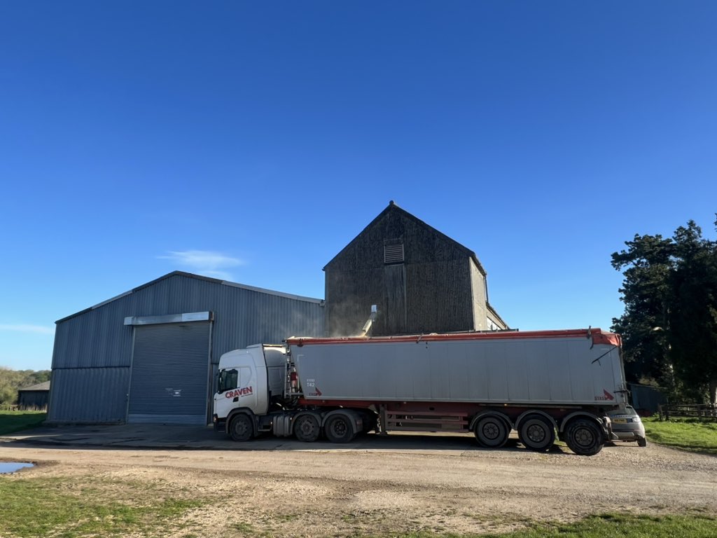 Some fine @LincsWoldsNL Malting Barley grown here @southormsby being loaded out this morning under a clear blue start to the day. 😎