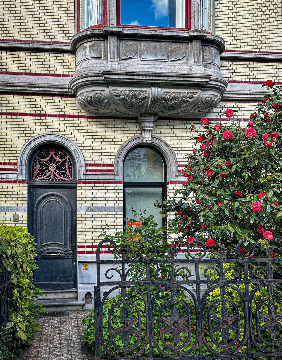 Matching light, tiles and flowers: Ghent, Belgium #DailyDoor